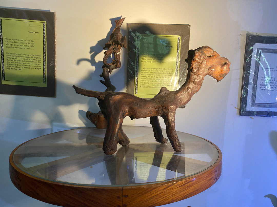 Bay Island Driftwood Museum景点图片