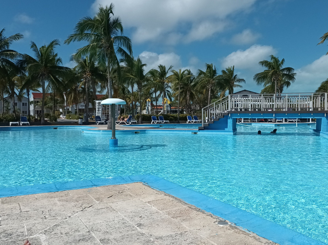 Starfish Cayo Largo主图