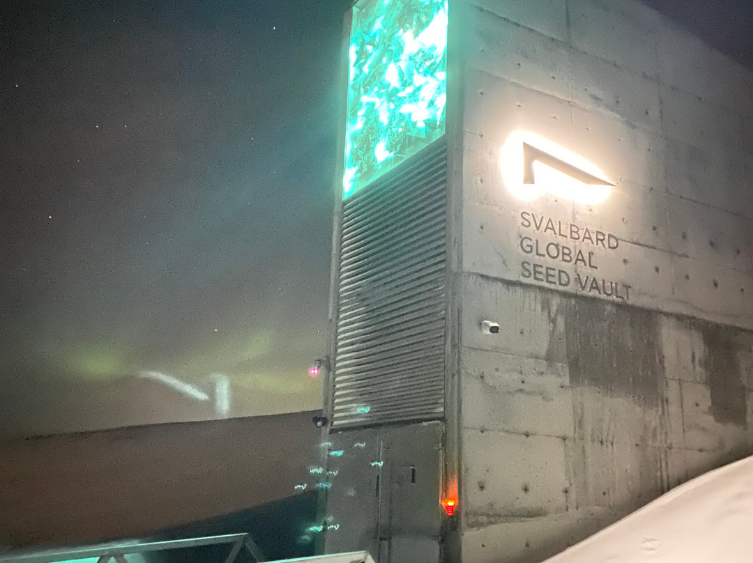 Svalbard Buss og Taxi-朗伊尔城必去景点
