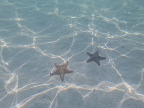 Capt. Marvin’s Watersports Ltd-乔治城必去景点