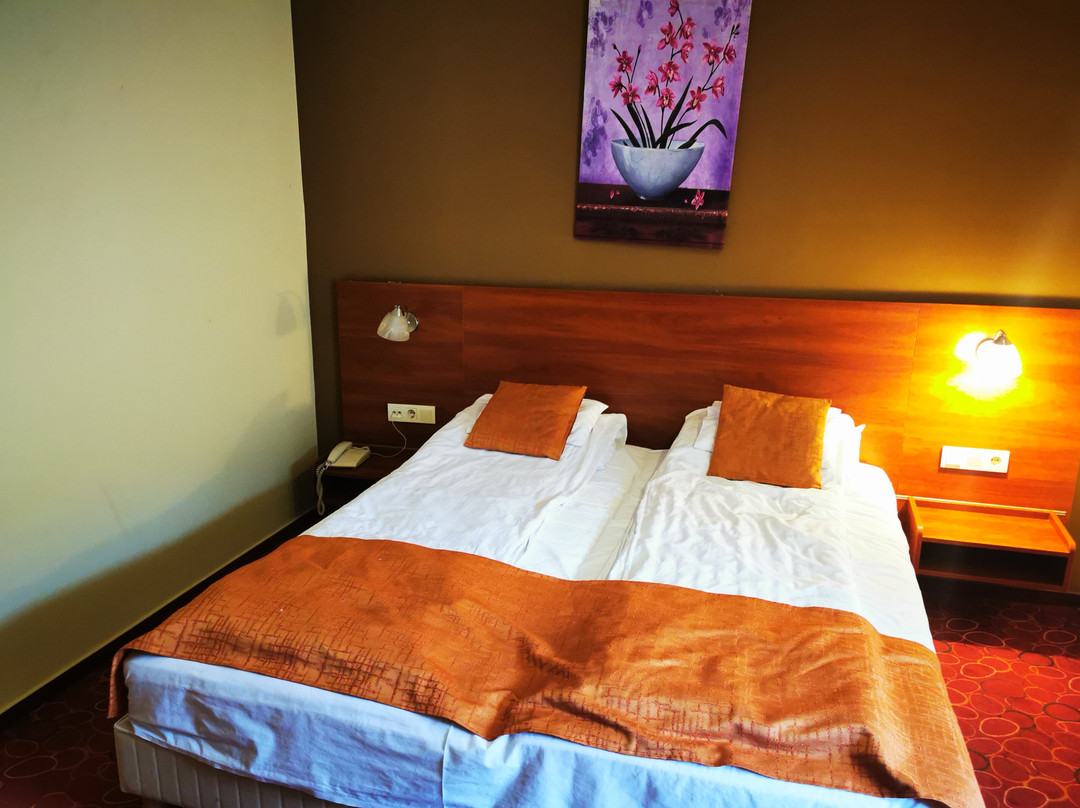 Patak Park Hotel Visegrad主图