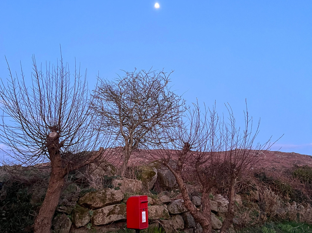 The White House at The Tinners Arms主图