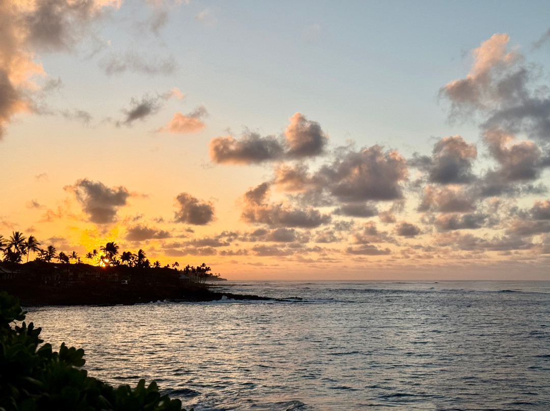 Whalers Cove Oceanfront Resort主图