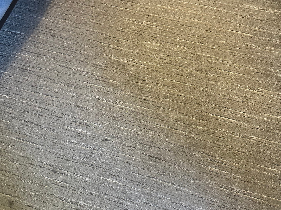 La Quinta Inn & Suites By Wyndham Sebring主图