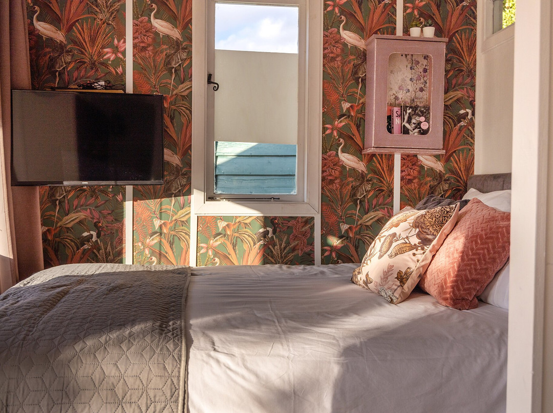 Caledon Grace Guesthouse主图