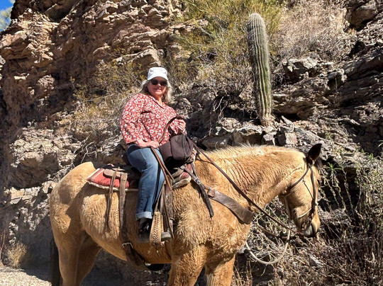 Saguaro Stables-图森必去景点