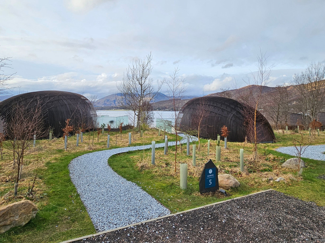 Seabeds Luxury Lookouts Lodges @ Woodlands Glencoe主图