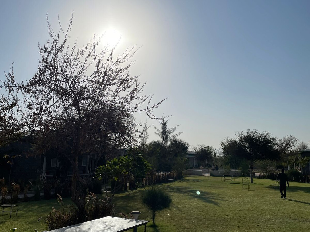 Trulyy The Jawai Leopard Kingdom主图