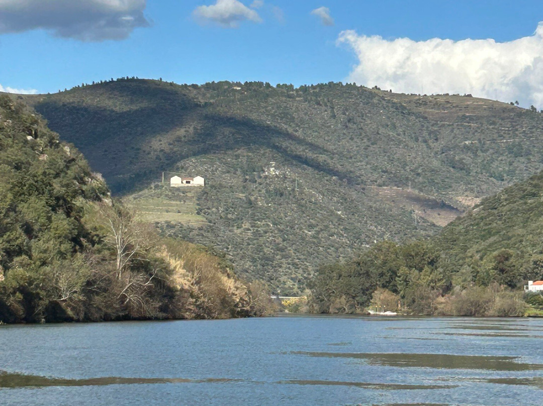 DWT - Douro Wine Tours-波尔图必去景点