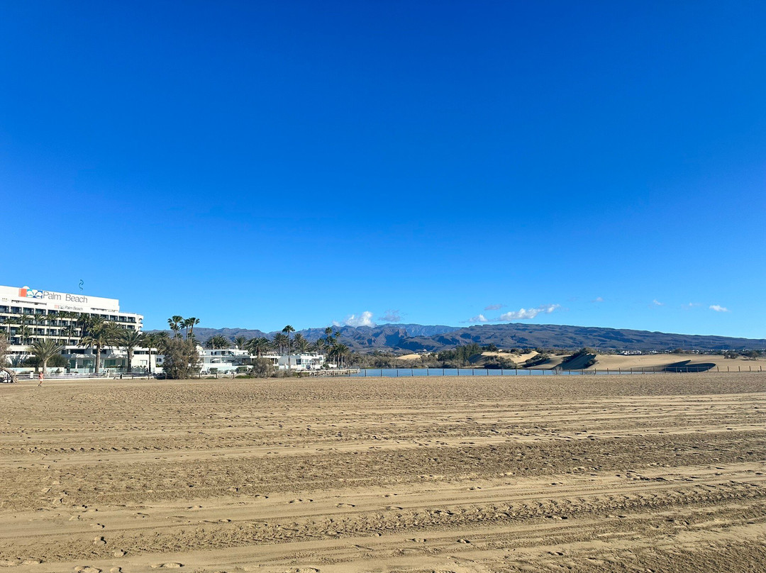 Kiosco Beach No 7景点图片