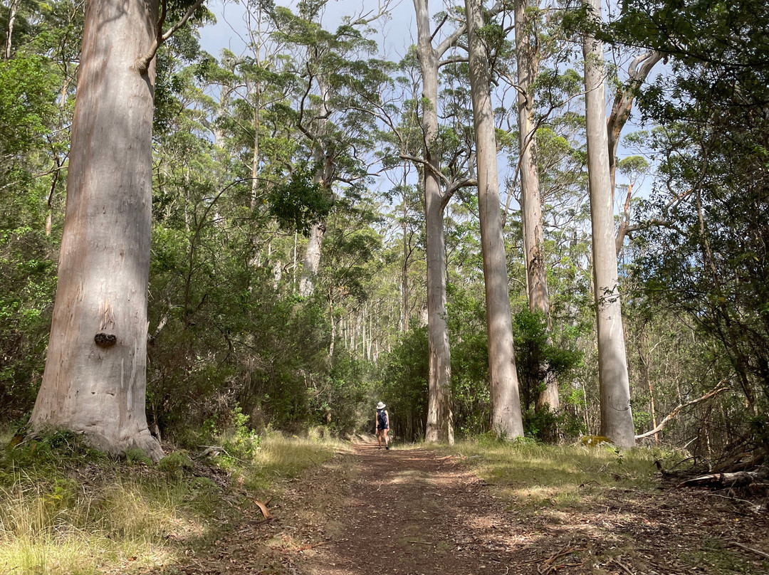 Wansborough Walk-Porongurup National Park必去景点