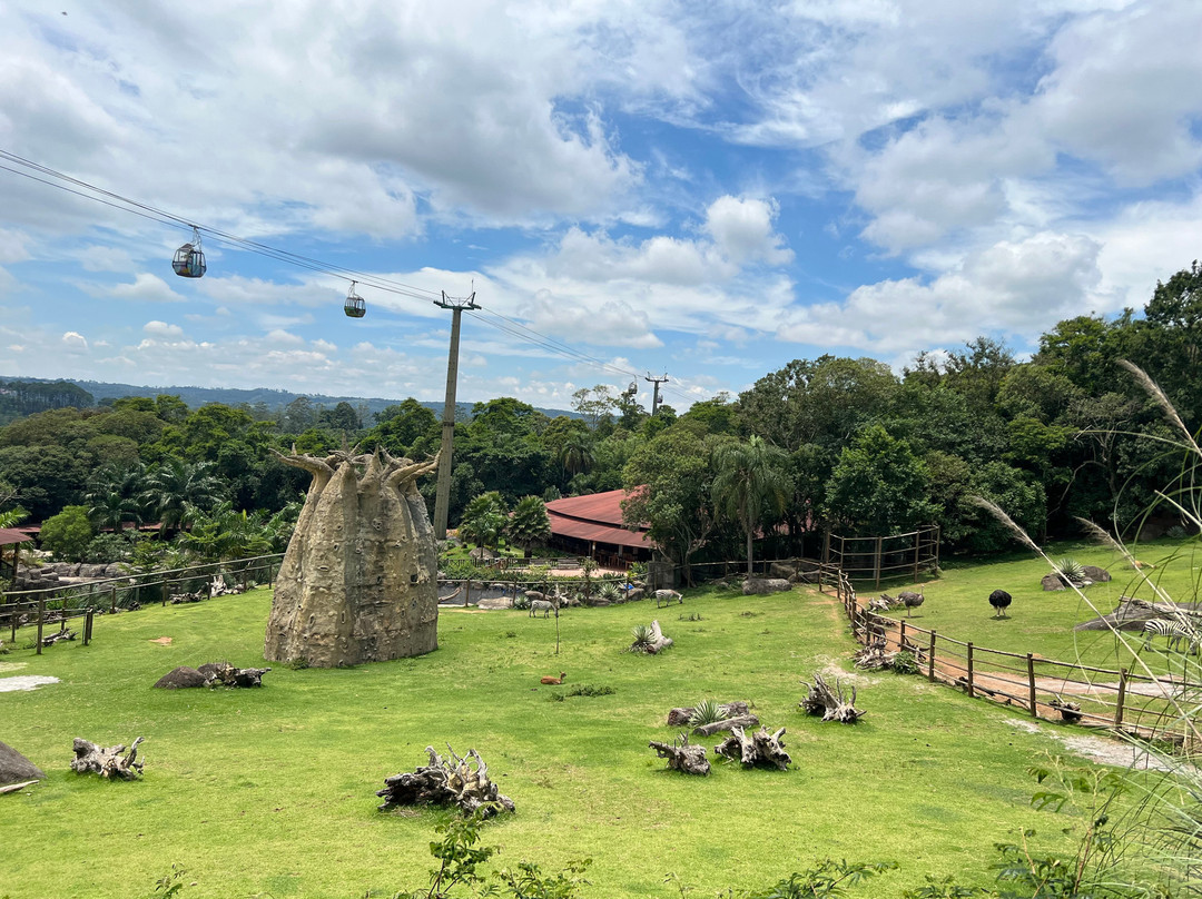 Animália Park-Cotia必去景点