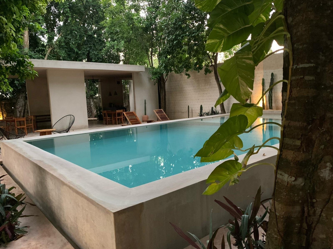 Cetro Hotel Boutique主图