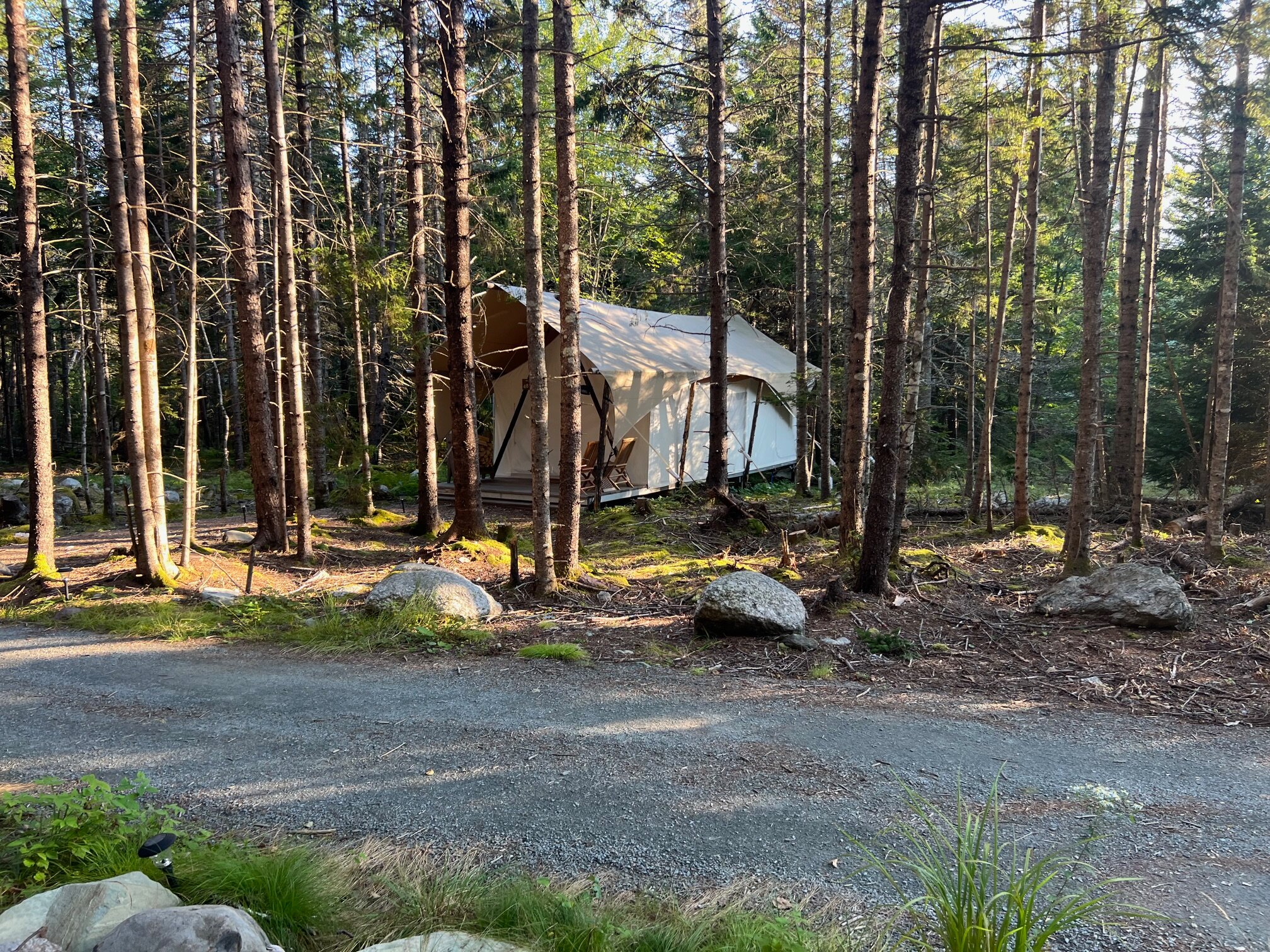 Under Canvas Acadia-客卧