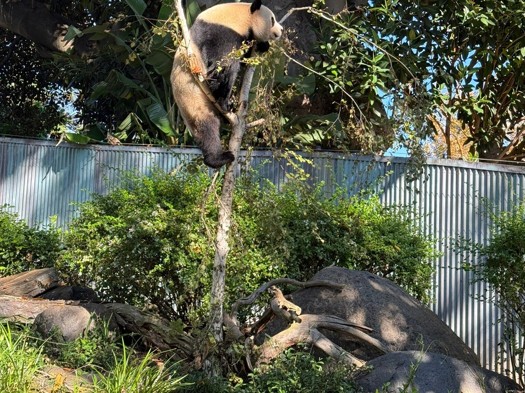 阿德莱德动物园-阿德莱德必去景点