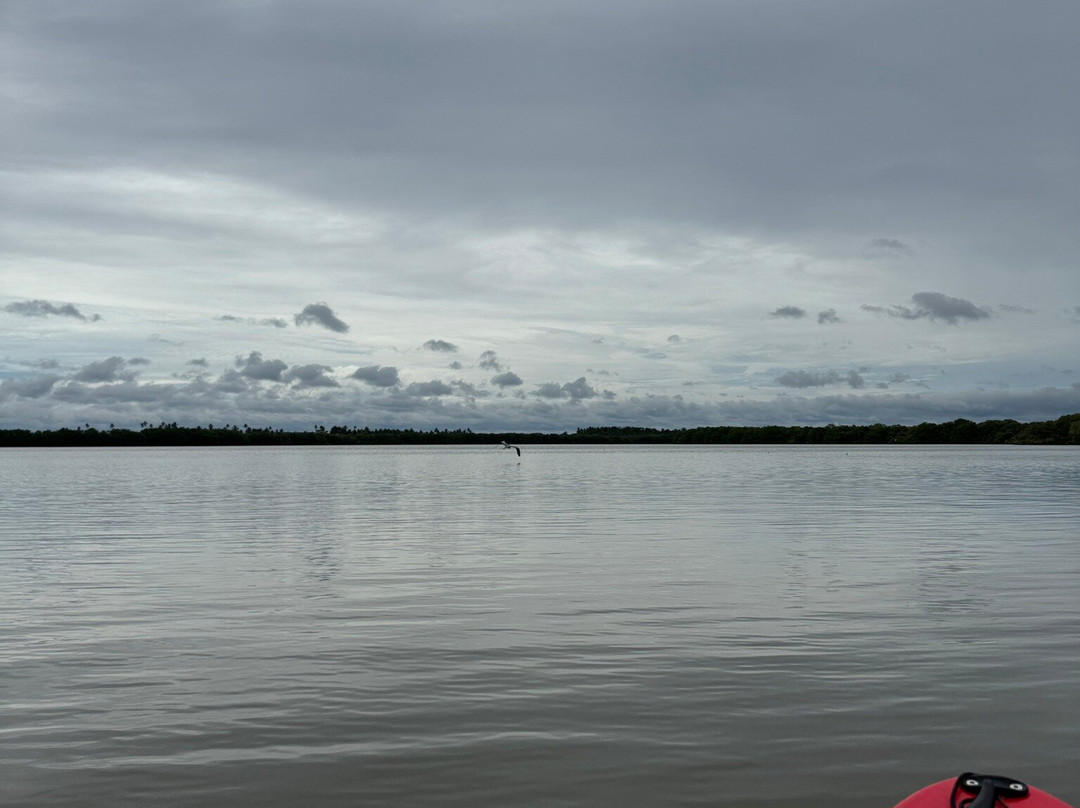 Kayak journey景点图片