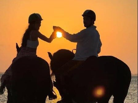 Royal Stable Zanzibar-米查维必去景点