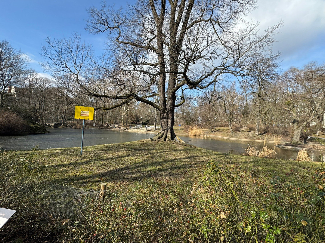 Woodrow Wilson Park-波兹南必去景点