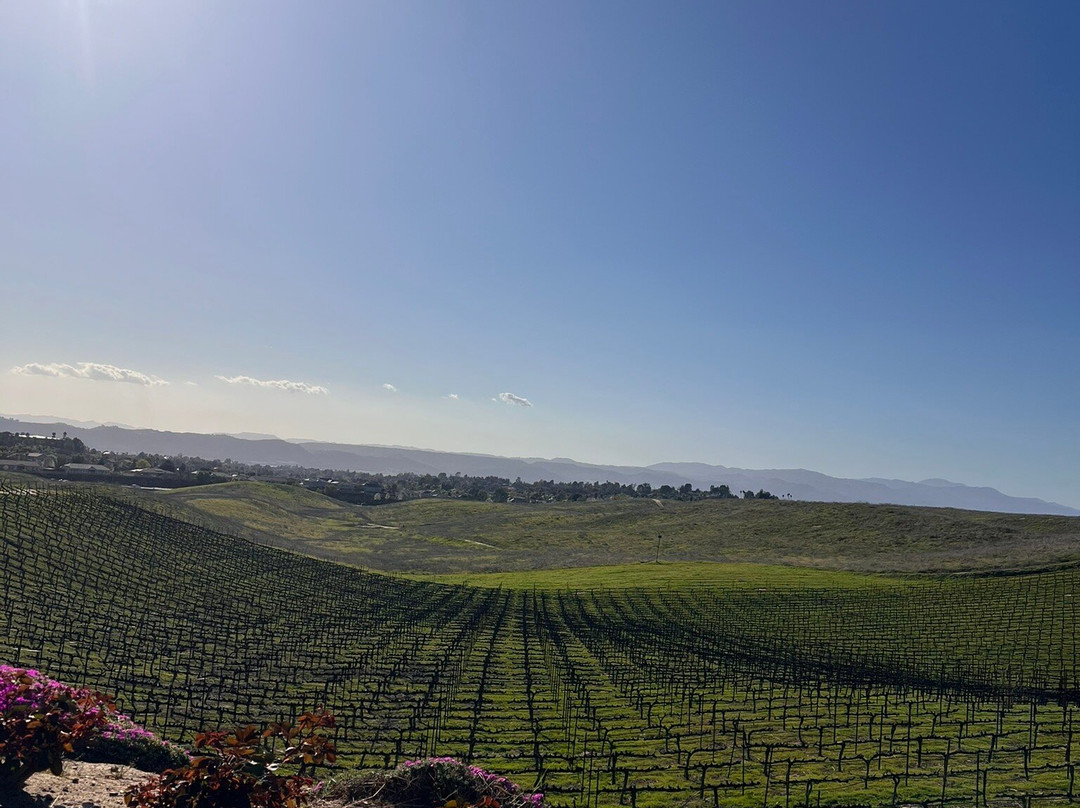 Callaway Vineyard and Winery-特曼库拉必去景点