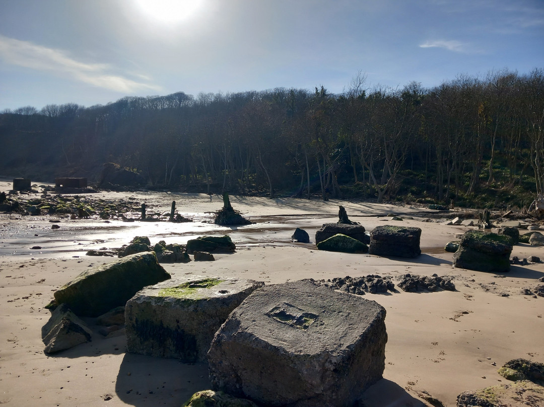 Cayton Bay Beach景点图片