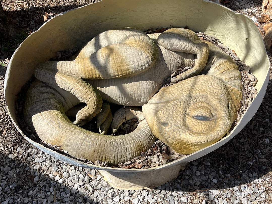 Treasure Trove Park-Cave City必去景点