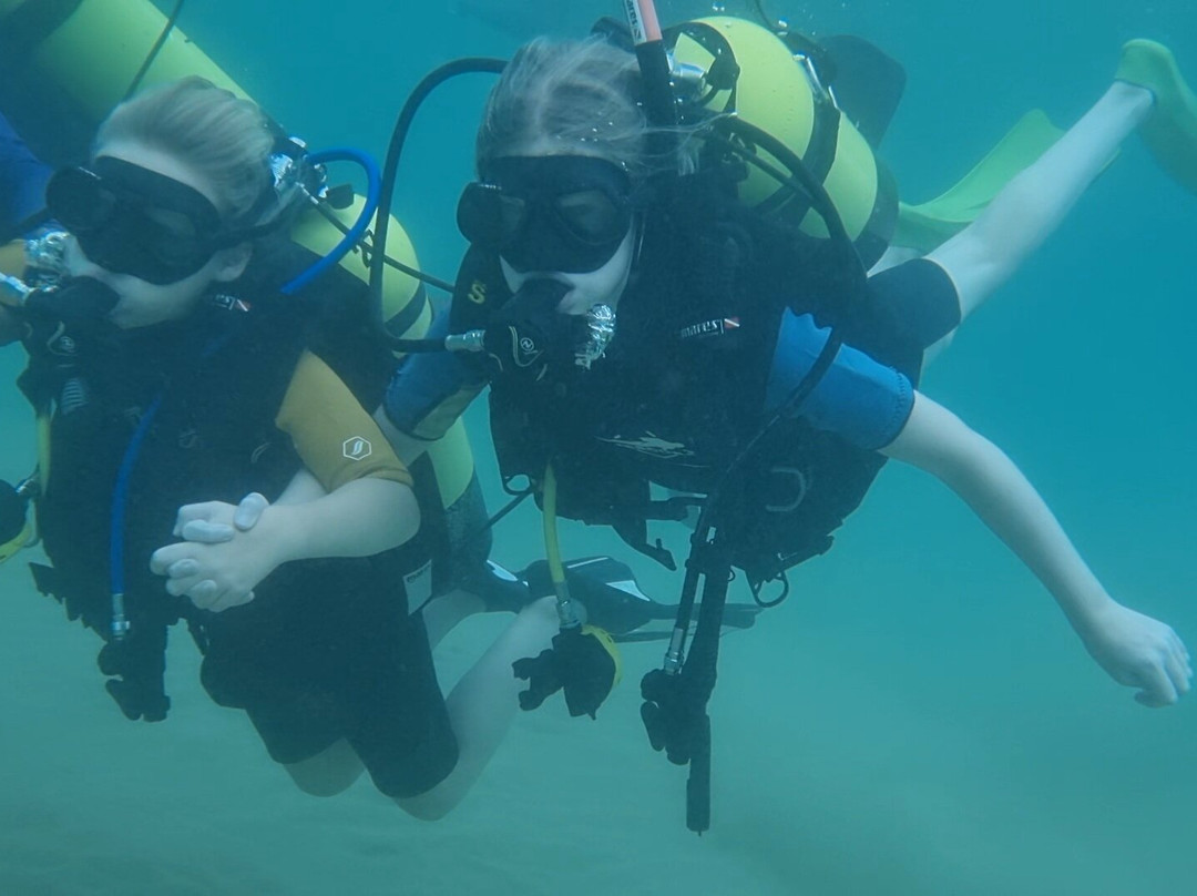 International Diving School景点图片