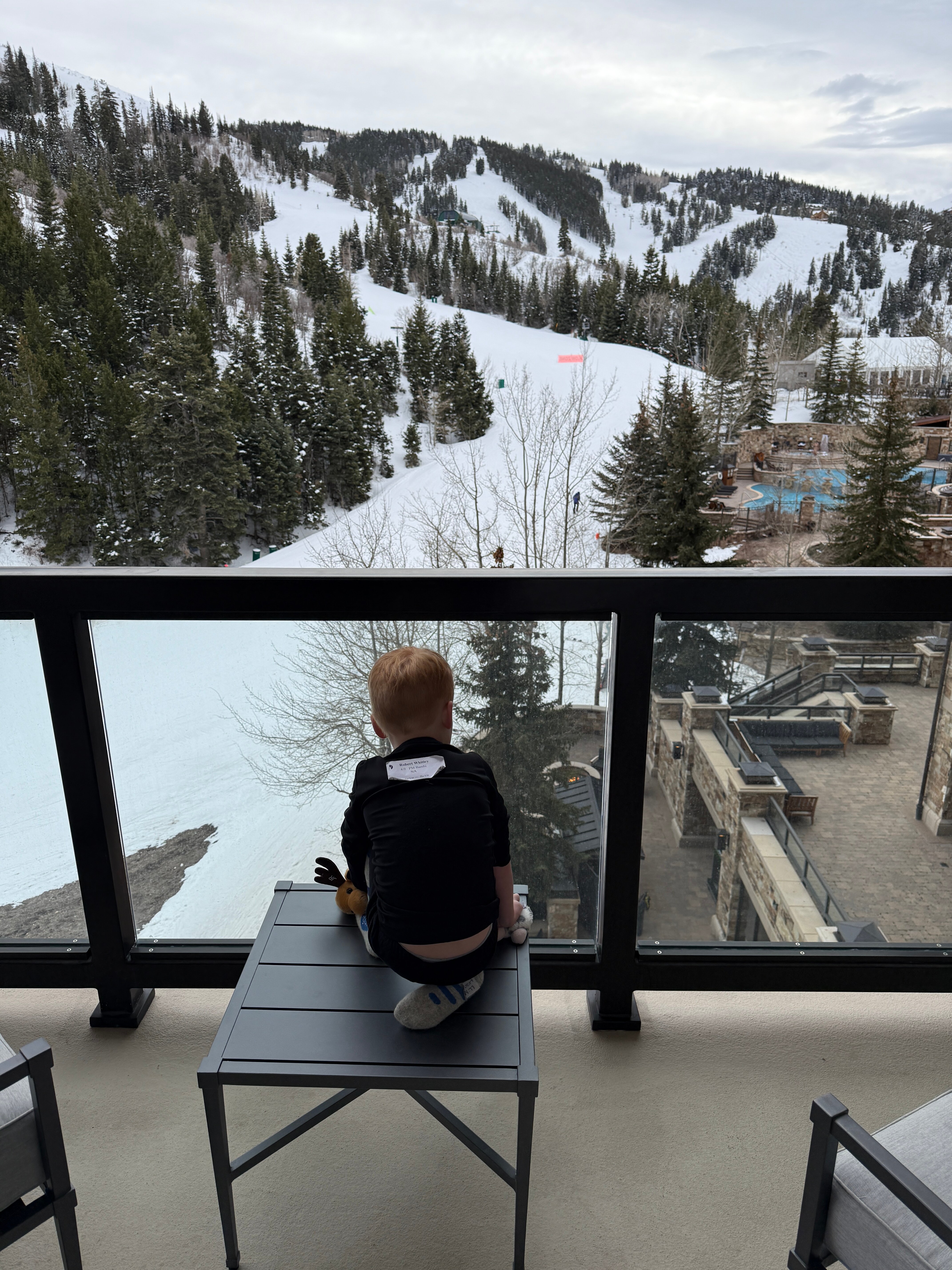 瑞吉鹿谷酒店-酒店景观