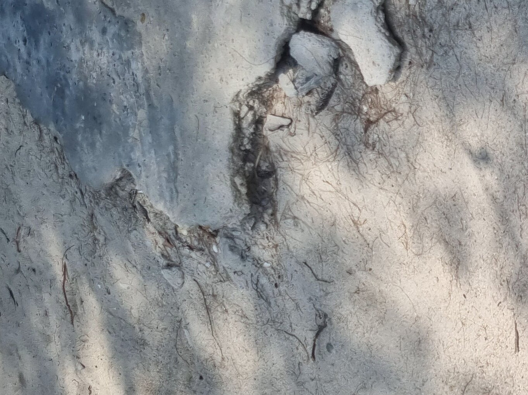 Tiki Beach Koh Phangan主图