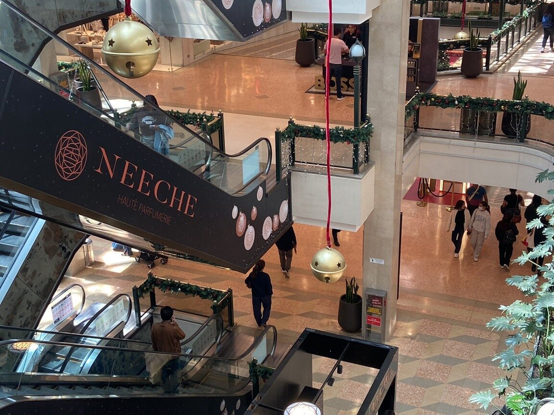 Centro Comercial Andino-波哥大必去景点