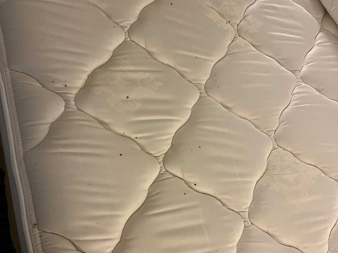 Holiday Inn Express & Suites Alpharetta - Windward Parkway By IHG主图