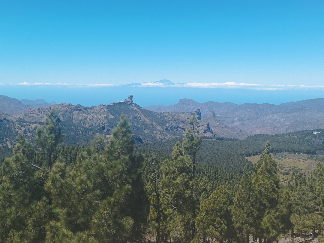 Trip Gran Canaria景点图片