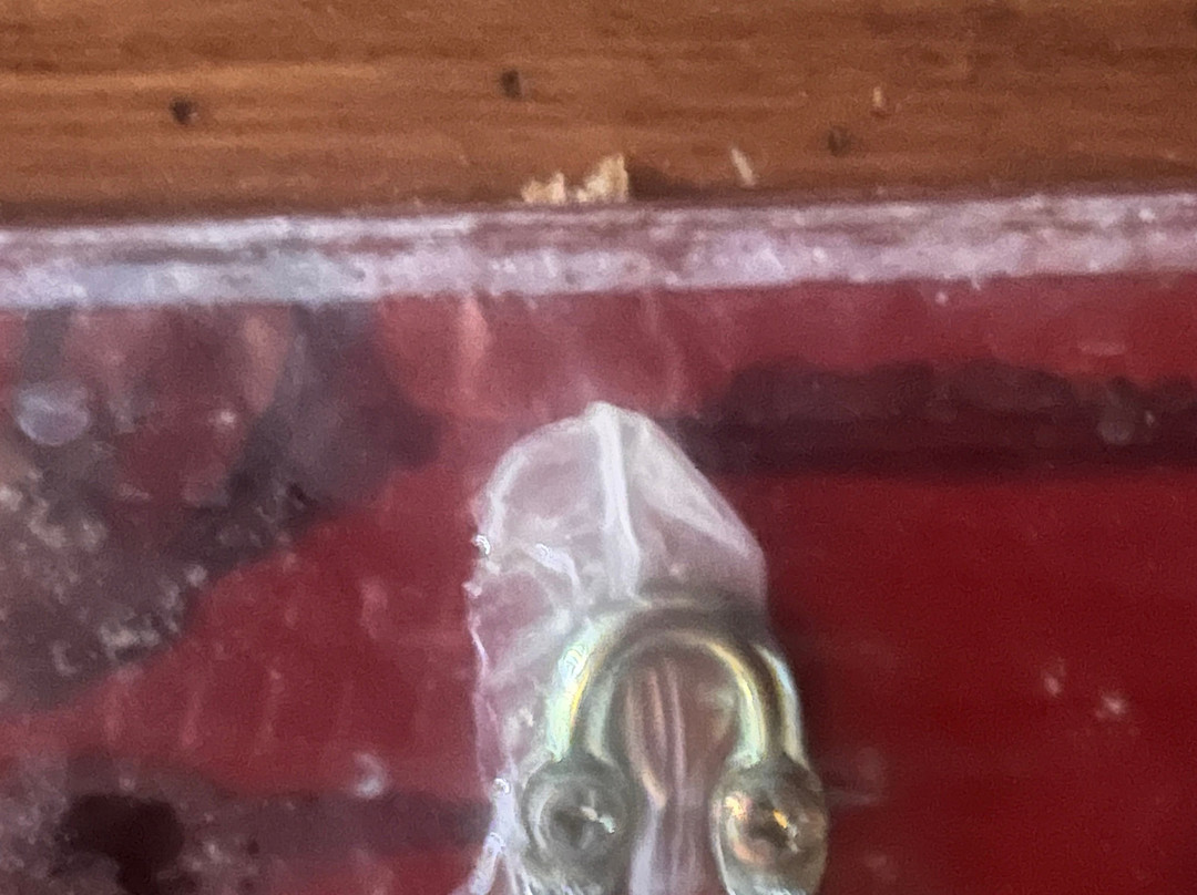 El Sabanero Eco lodge主图