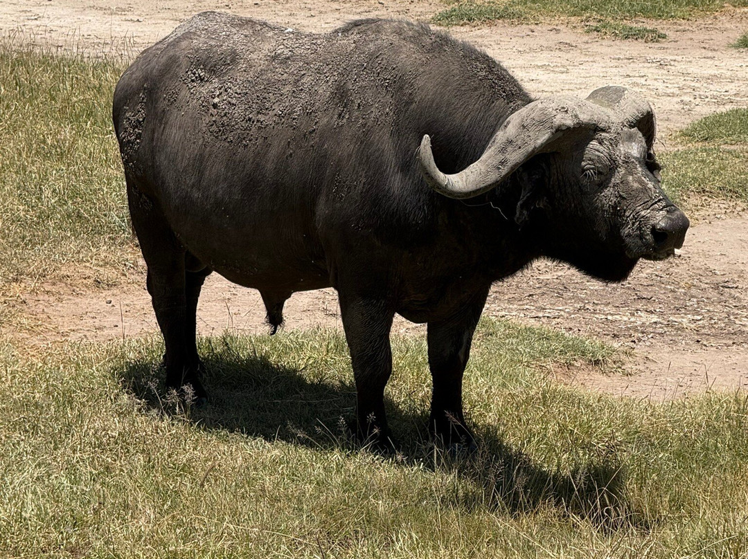 Nature Horizons Tours-纽约市必去景点