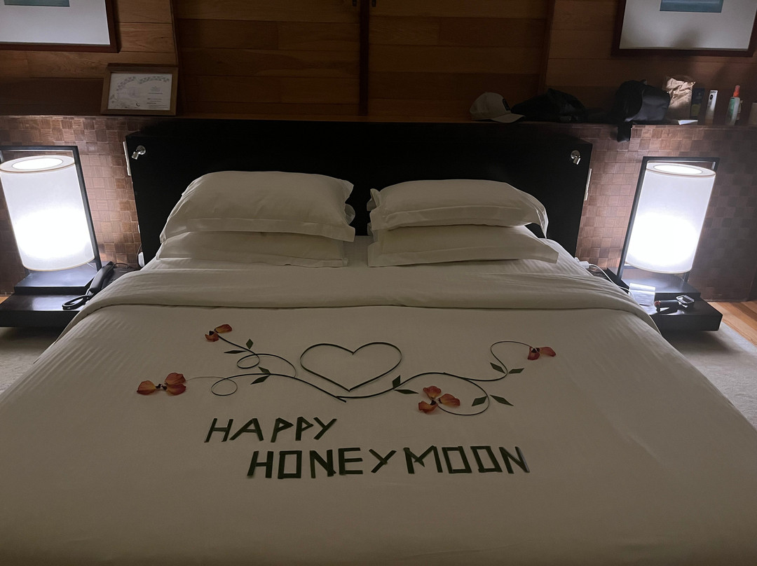 阿达郎尊贵瓦度岛度假村主图