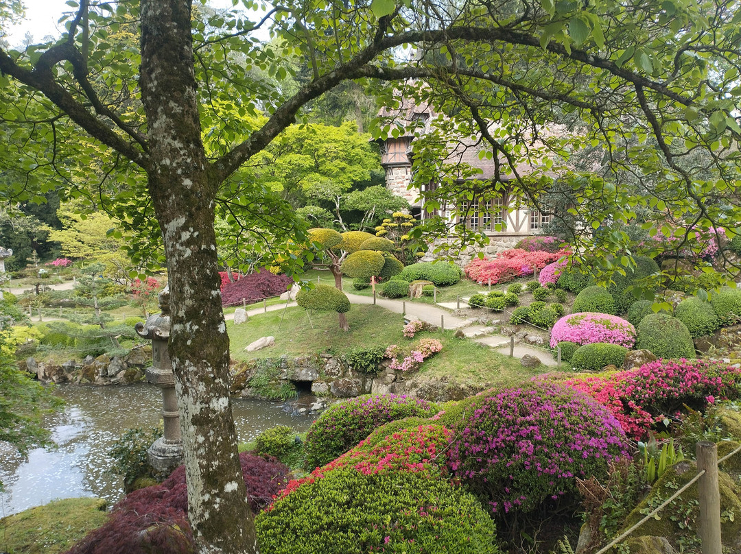 Parc Oriental de Maulevrier景点图片