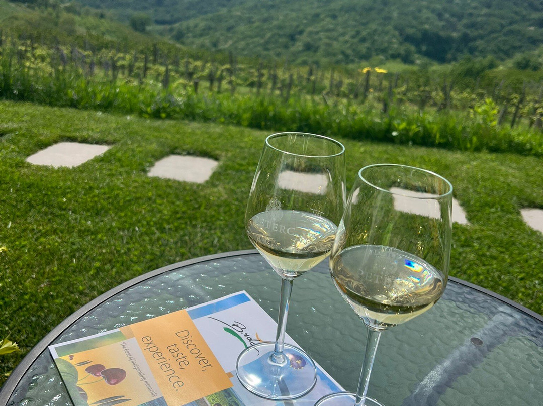 Peterc Vineyard Estate-Kojsko必去景点