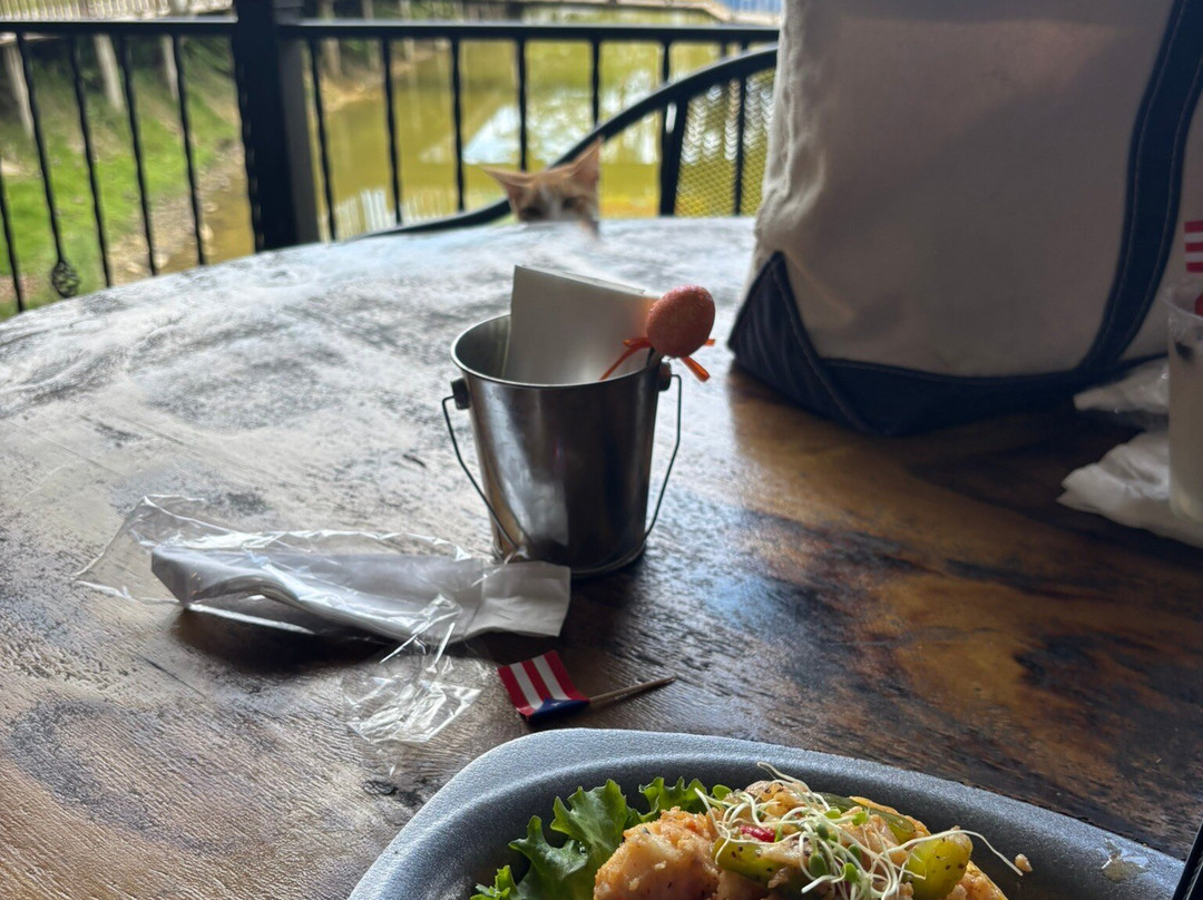 Catarata Gozalandia-San Sebastian必去景点