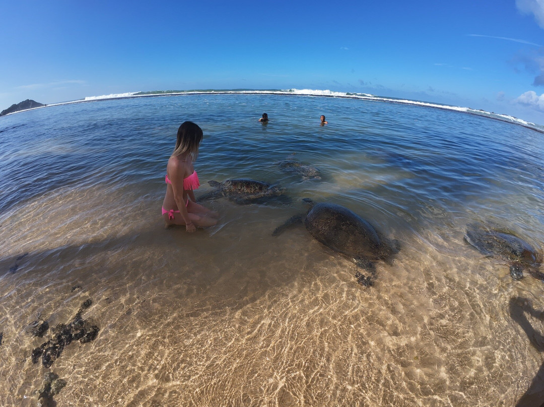 Turtle Beach-希克杜沃必去景点