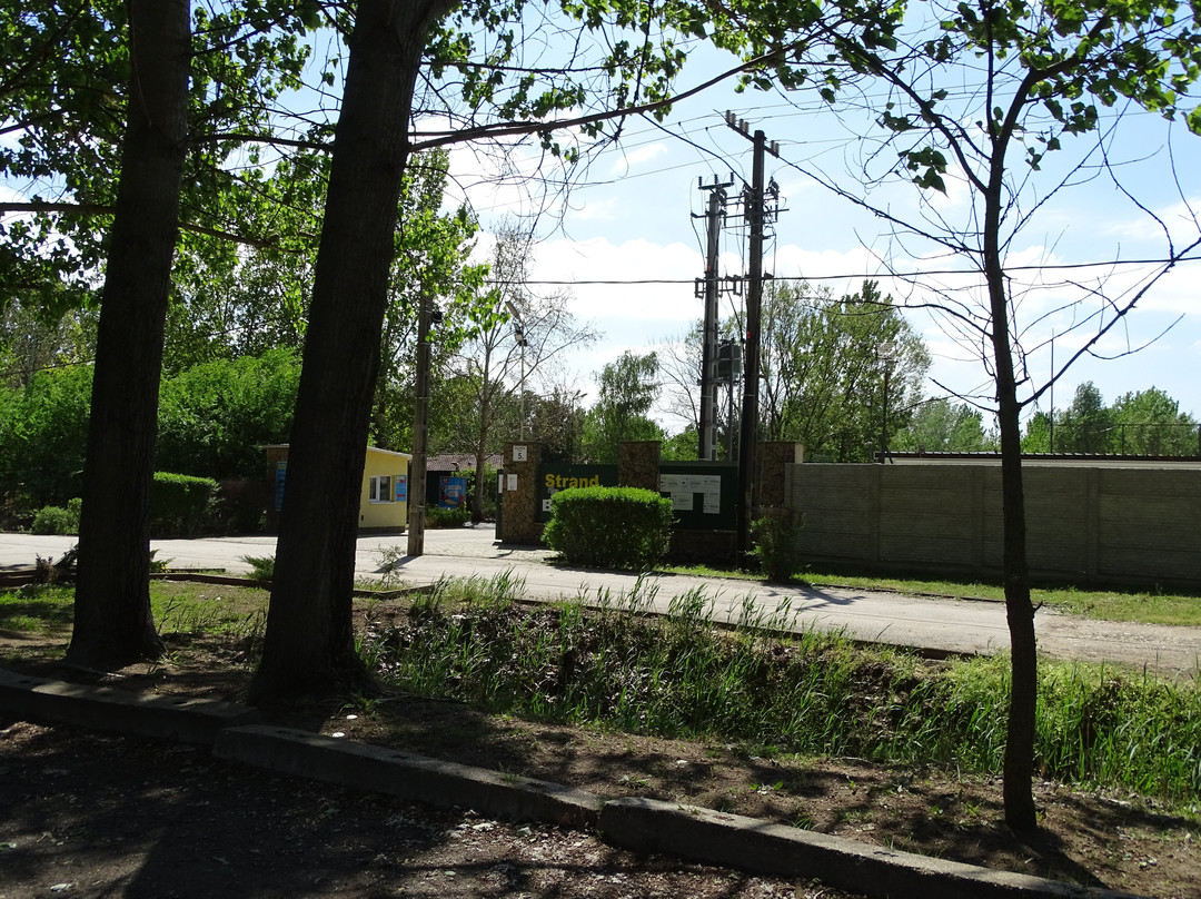 SZUSZ, Szeged Street Leisure Park景点图片