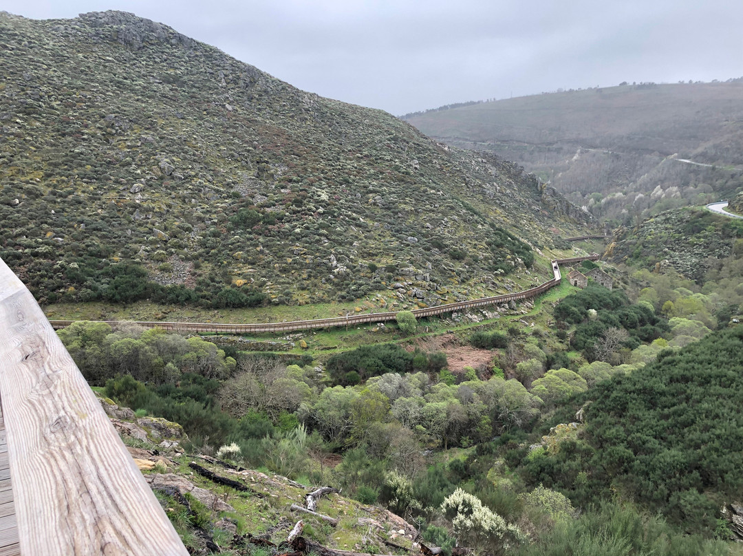 Passadiços Do Mondego