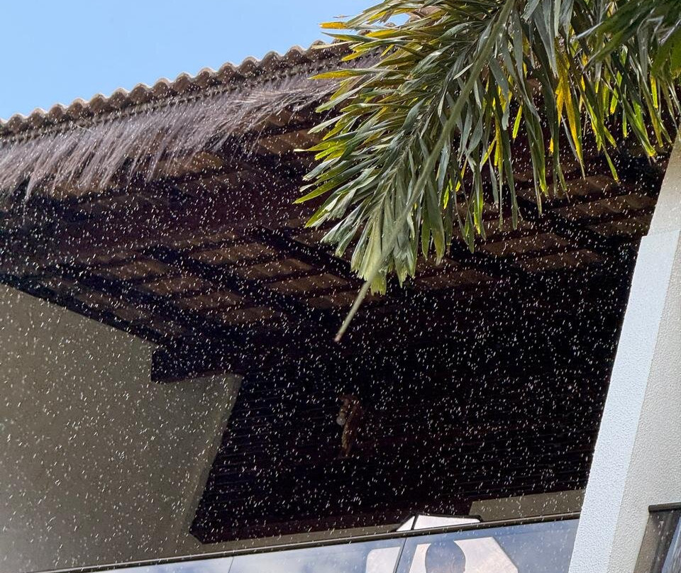 Porto das Dunas Praia Hotel主图