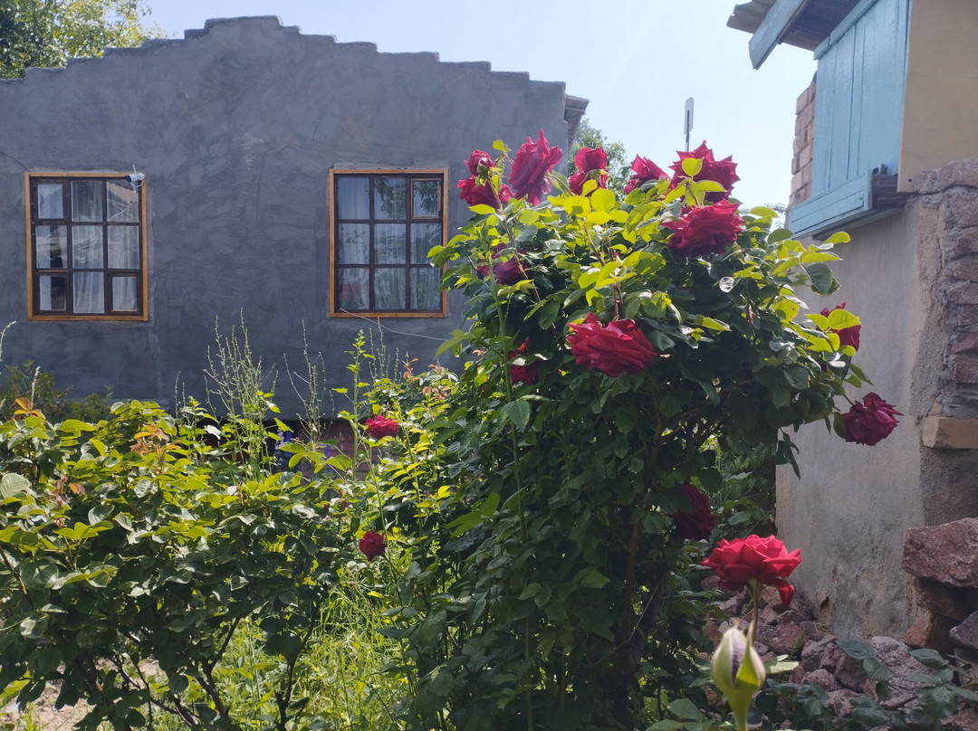 Guest house on Akmatbai-Ata 29主图