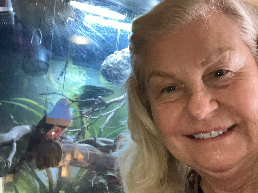 Butterfly Wonderland-斯科茨代尔必去景点