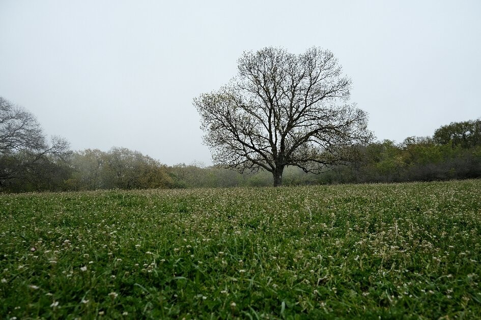 Beglik-Tash-普里莫斯科必去景点