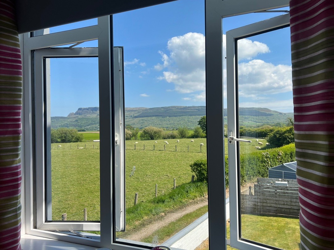 The Willows Self Catering Studios & Bed And Breakfast主图
