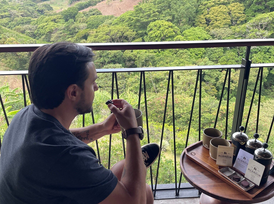 Hacienda Alsacia Starbucks Coffee Farm景点图片