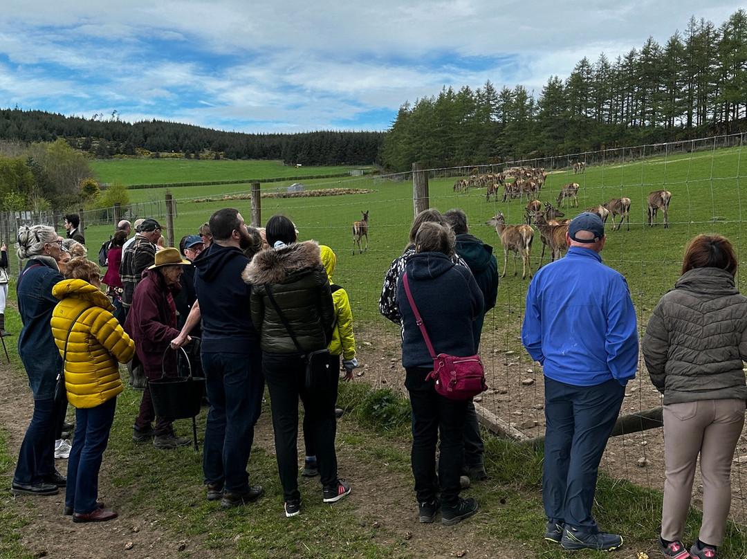 Tullynessle Deer Farm-Alford必去景点