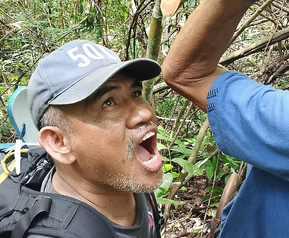 Meratus Mountains-班贾尔马辛必去景点