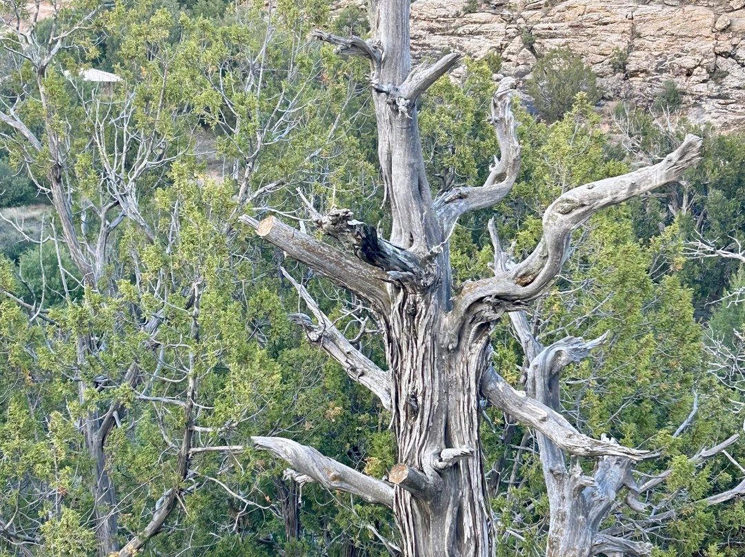 Clayton Lake State Park-Clayton必去景点