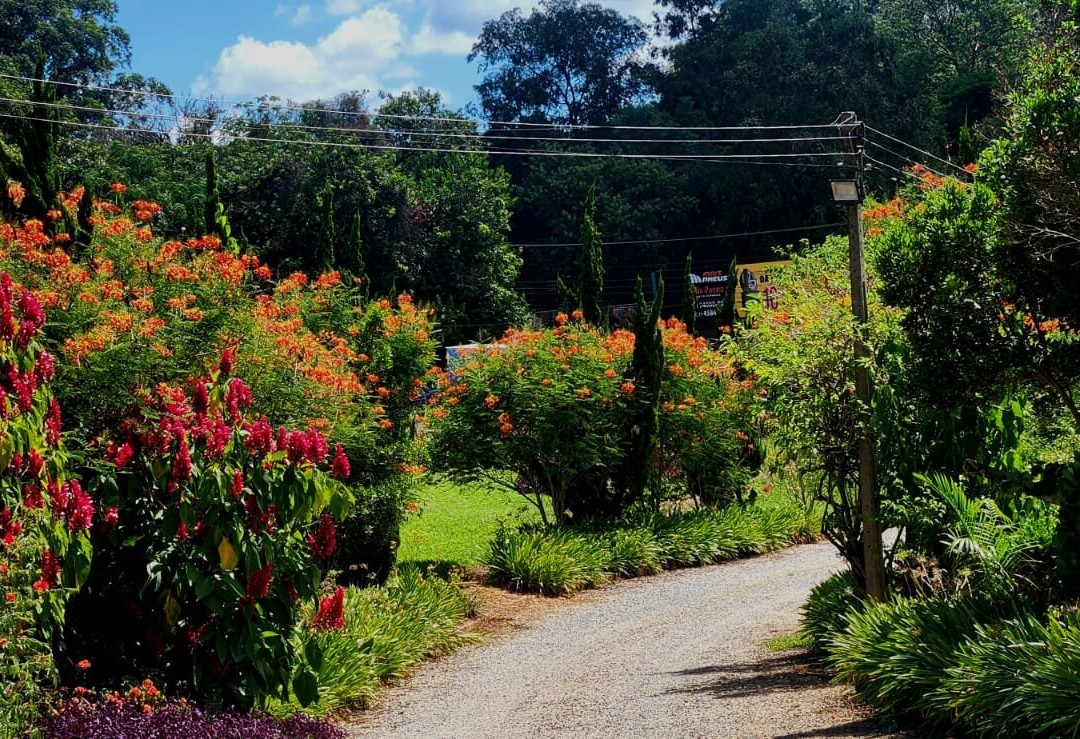 Adega Sibinel-容迪亚伊必去景点